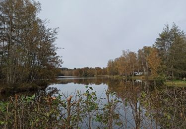 Tocht Stappen Écromagny - reco ecromagny : etangs grande chaussee, du feu, plate Pierre - Photo