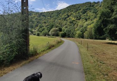 Tour Wandern Esneux - Boucle de Bavo - Photo