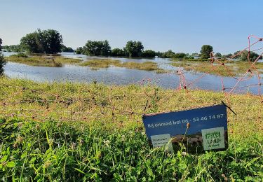 Percorso A piedi 's-Hertogenbosch - Loop- en wandelroute Maaspoort - Photo