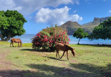 Trail Walking Nuku Hiva - baie Colette  - Photo