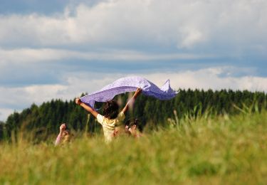 Randonnée A pied Valbrenta - Sannazara - Photo