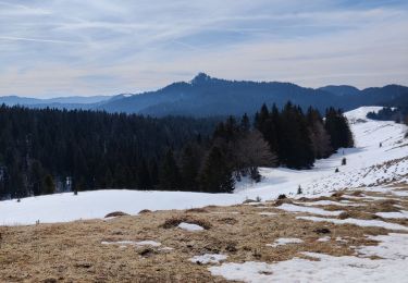 Trail Snowshoes La Pesse - la pesse - Photo