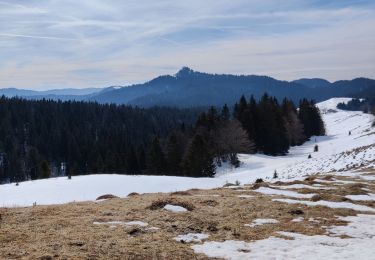 Tour Schneeschuhwandern La Pesse - la pesse - Photo