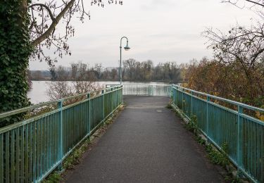 Randonnée A pied Inconnu - Mülheim Wasserbf Rundweg A8 - Photo