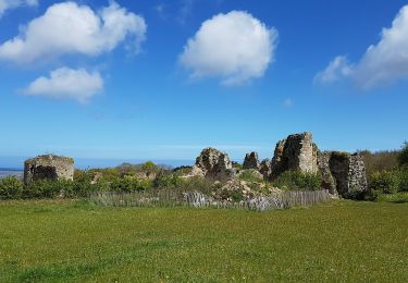 Randonnée A pied Beaussais-sur-Mer - Chemin des Dolmens - Photo