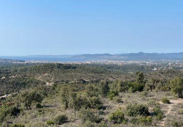 Trail Walking Fréjus - Depuis la Louve en boucle - Photo