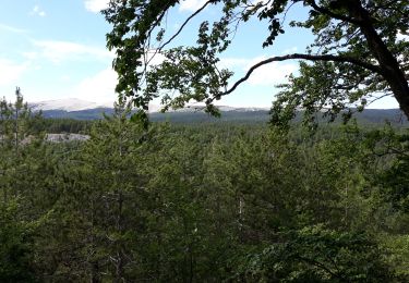 Randonnée V.T.T. Bédoin - Chapelle St Jean depuis Bedoin VTT - Photo