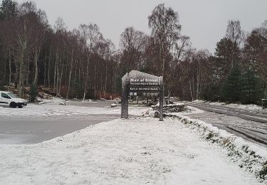 Tour Zu Fuß  - Parkin's Moss Trail - Photo