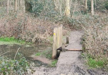 Randonnée Marche Châtenay-Malabry - CREPS et verriere - Photo