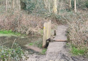 Tour Wandern Châtenay-Malabry - CREPS et verriere - Photo