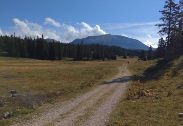 Tour Mountainbike Saint-Agnan-en-Vercors - Pré Peyret depuis la Coche - Photo