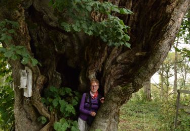 Tocht Stappen Mettet - RB-Na-23-Sur le plateau de l’Entre-Sambre-et-Meuse - Photo