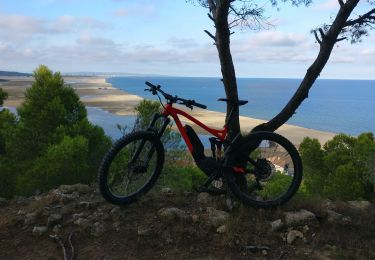 Trail Mountain bike Leucate - tour du plateau leucate la franqui - Photo