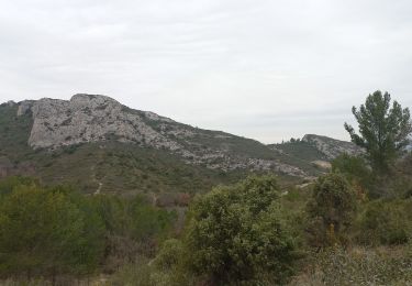 Randonnée Marche Peypin - Peypin - Photo