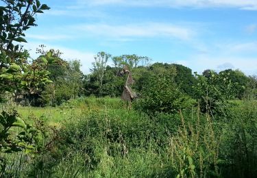 Tour Wandern Saint-Malo - Le Val Riant - 10km 135m 3h15 - 2017 06 28 - Photo