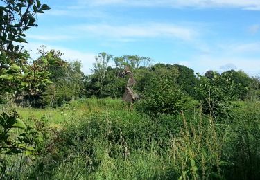 Tocht Stappen Saint-Malo - Le Val Riant - 10km 135m 3h15 - 2017 06 28 - Photo