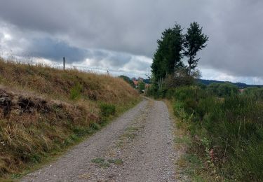 Tour Wandern La Chaise-Dieu - Bois de Breuil - Photo