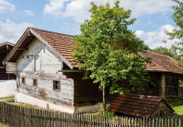 Percorso A piedi Nabburg - Wanderroute Häuslberg-Weg - Photo