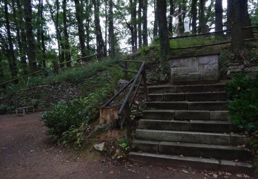 Tocht Te voet Uder - Wanderweg von Uder nach Lutter (Grünes X) - Photo