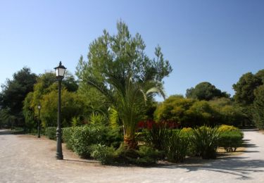 Percorso A piedi Vilanova i la Geltrú - Camí de Vilanova a Sitges - Photo