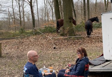 Tour Reiten Belœil - Wikiloc - Stambruges - La mer de sable - Bruyère - Photo