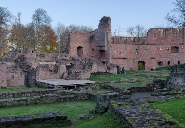 Percorso Marcia Wangenbourg-Engenthal - 2019-11-16 Marche Wangenbourg Castelberg - Photo