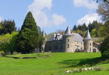 Excursión Senderismo Celles-sur-Durolle - Celles_Puy_Oscot - Photo