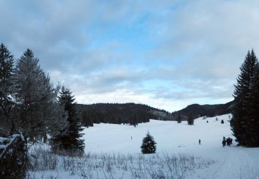 Percorso Racchette da neve Saint-Martin-en-Vercors - Herbouilly - Photo