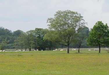 Tour Zu Fuß  - Roshusslingan - Photo