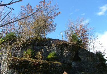 Percorso A piedi Durach - Durach: Geotopweg Dengelstein - Photo