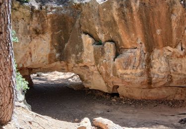 Trail Walking Aix-en-Provence - 13-bibemus_barrages_zola&bimont_10km270m - Photo