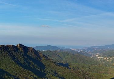 Randonnée A pied Moneglia - Sella Crocetta (Bivio SVA) – Salto del Cavallo – Baracchino – Monte San Nicolao - Photo