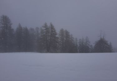 Percorso Marcia Puy-Saint-Pierre - pentes du prorel sous la neige de printemps  - Photo