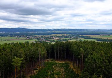 Excursión A pie Trstěnice - NS Cech sv. Víta - Photo