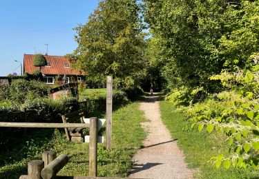 Tocht Mountainbike Auxi-le-Château - Auxi-le-Château Cyclisme - Photo