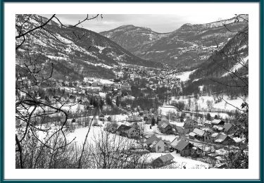 Trail On foot Vallouise-Pelvoux - Boucle de Pelvoux - Photo