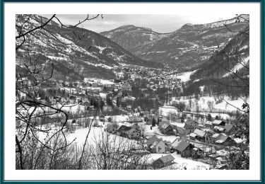 Percorso A piedi Vallouise-Pelvoux - Boucle de Pelvoux - Photo