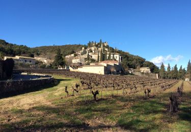 Tour Wandern Saint-Michel-d'Euzet - PF-Saint-Michel-d'Euzet - La Roque-sur-Cèze - Cascade du Sautadet - Photo