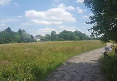 Tour Zu Fuß Spa - 11. L'eau sous toutes ses facettes - Photo