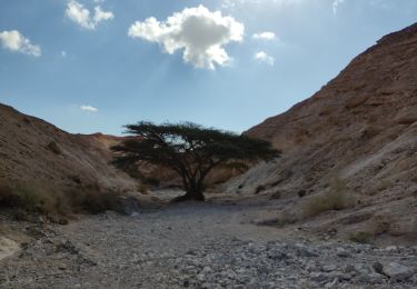 Percorso A piedi מועצה אזורית תמר - ציר המצלעות - Photo