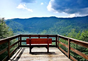 Excursión A pie  - Tršće - Sveta gora - Izvor Kupe - Crni Lug - Photo