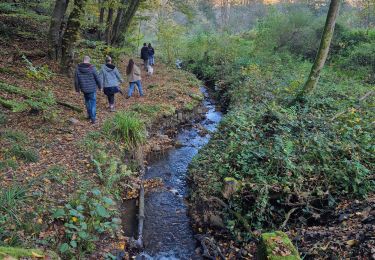 Trail Walking Liège - Balade blanc gravier - Photo