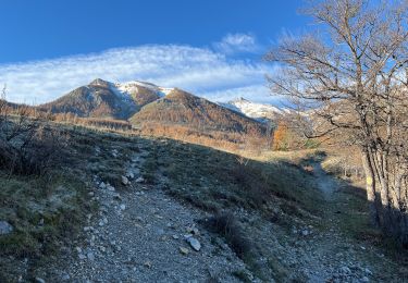 Randonnée Marche Sauze - Mont St Honorât  - Photo