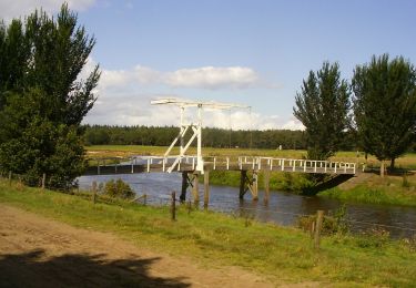 Randonnée A pied Ommen - Wandelnetwerk Vechtdal - groene route - Photo