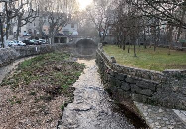 Percorso Marcia Flassans-sur-Issole - Flassans sur Issole-19-01-22 - Photo
