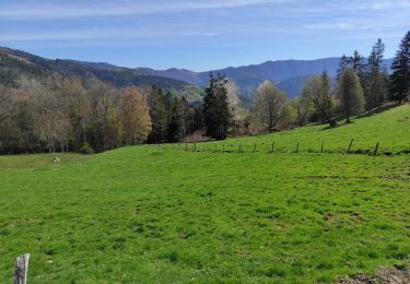 Randonnée Marche Oberbruck - Oberbr  Cresson  - Photo