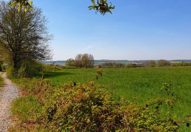 Randonnée Marche Mettet - La promenade du Planois à Biesme - Photo