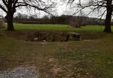 Tour Wandern Durbuy - weris ac - Photo