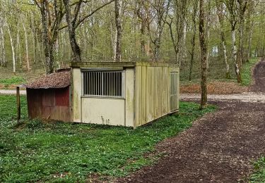 Percorso Marcia Vauchassis - Balade Forêt communale de Vauchassis - Photo
