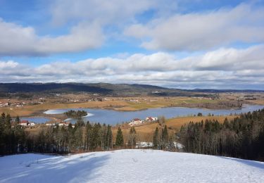 Excursión Senderismo Grande-Rivière-Château - Belvédère du lac de l'abbaye - Photo